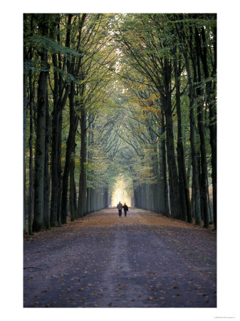 Two people walking away form the camera through an arched doorway into