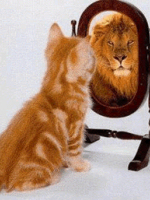 Skype / Face Time / Telephone sessions . self confidence