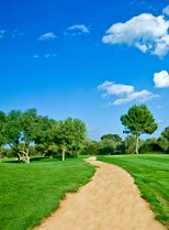 Walk and Talk . Library Image: Path to oak Tree